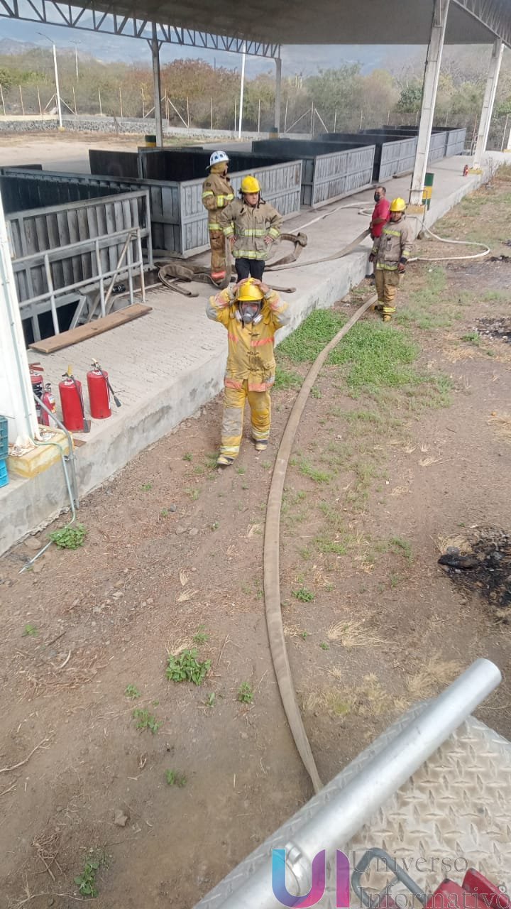 Sin pérdidas humanas tras el incendio en empaque limonero